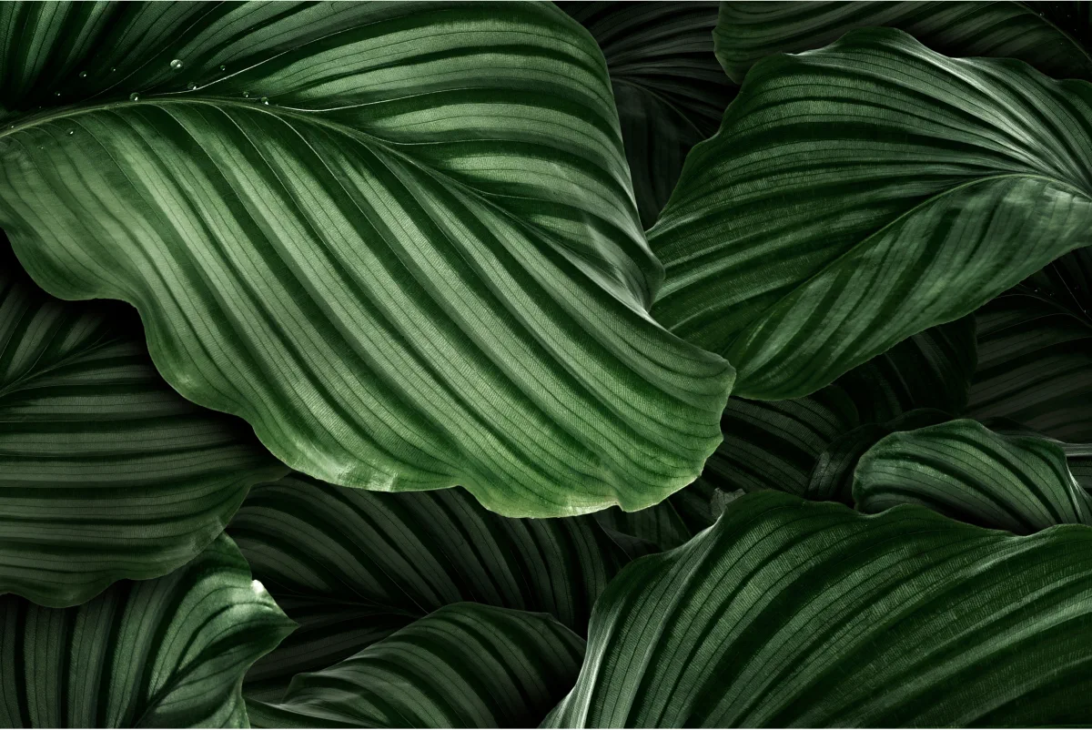 parallax background